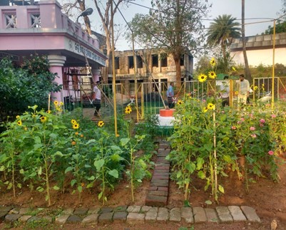Gardening of DIET Cuttack